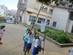 IMG_0047