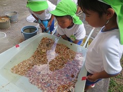 IMG_0050