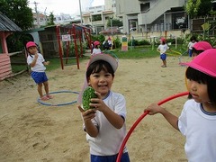 IMG_6209