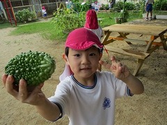 IMG_6223