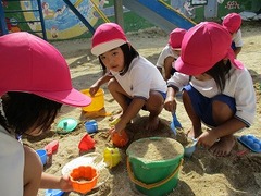 IMG_6229