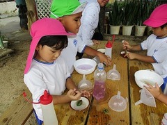IMG_6238
