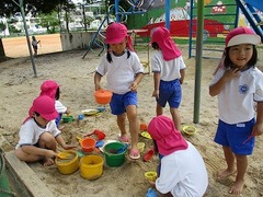 IMG_6242