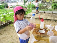 IMG_6251