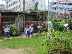 IMG_6257