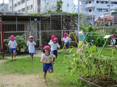 IMG_6258