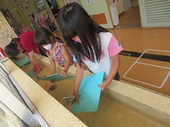 IMG_0014