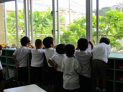 IMG_5895