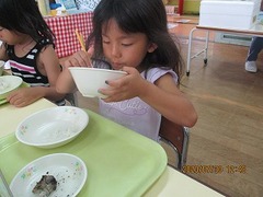 IMG_0294