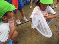IMG_2247