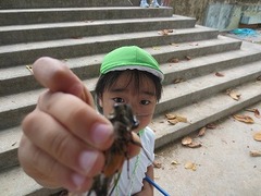 IMG_2251