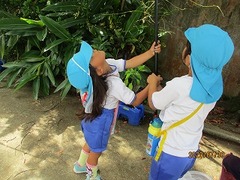 IMG_2863