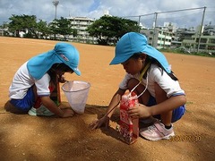 IMG_2879