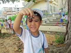 IMG_2887