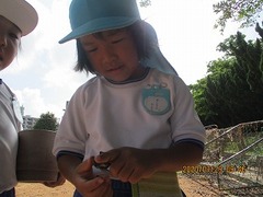 IMG_0227