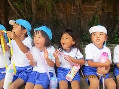 IMG_0253