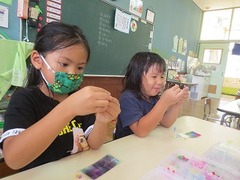 IMG_2234