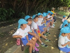 IMG_2479