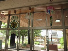 IMG_2517