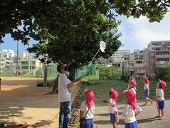 IMG_5762