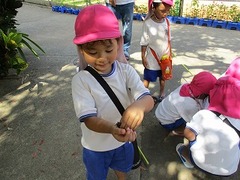 IMG_5773