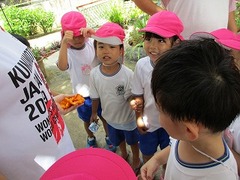 IMG_5648