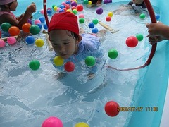 IMG_0082