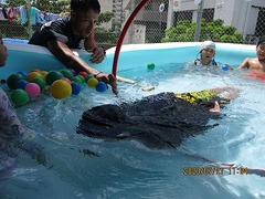 IMG_0095