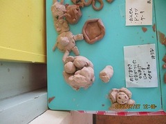 IMG_0177