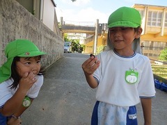 IMG_2110