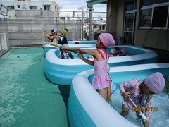 IMG_2648