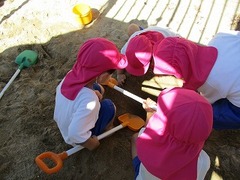 IMG_5531