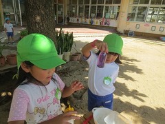 IMG_2090