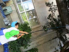 IMG_2486