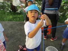 IMG_2492