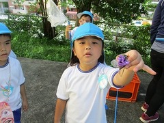 IMG_2493