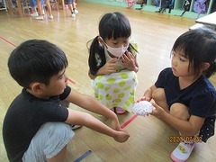 IMG_2550