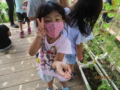 IMG_2570