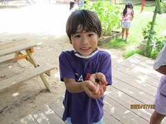 IMG_2586