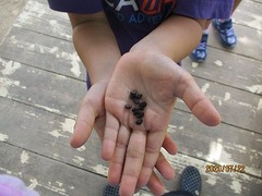 IMG_2587