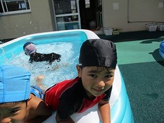 IMG_5231