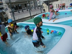 IMG_5236
