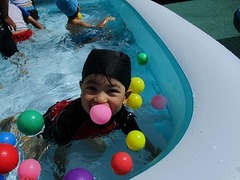 IMG_5241