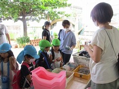 IMG_5517