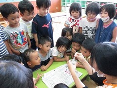 IMG_5043