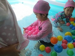 IMG_2010