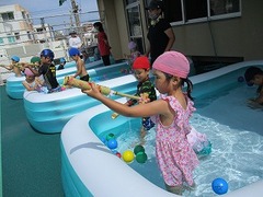IMG_4649