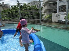 IMG_4694