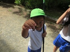 IMG_1825