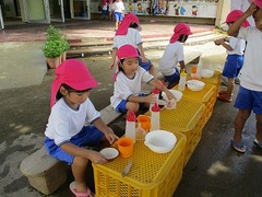 IMG_4395
